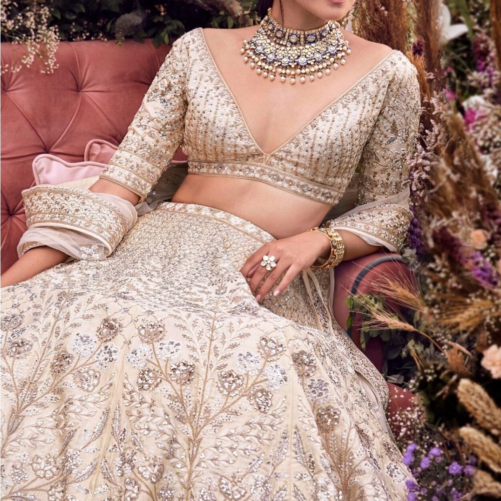 Anita Dongre Elinaz Lehenga - Picture 5 of 7